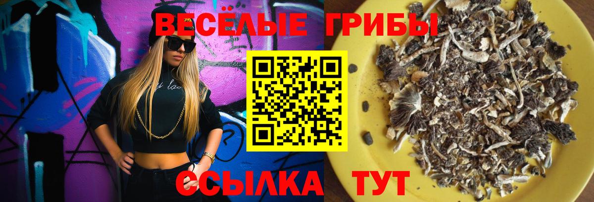Бутурлиновка  Галлюциногенные грибы мухоморы  Псилоцибиновые грибы Psilocybe  Вход с VPN 